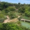 elianalevy